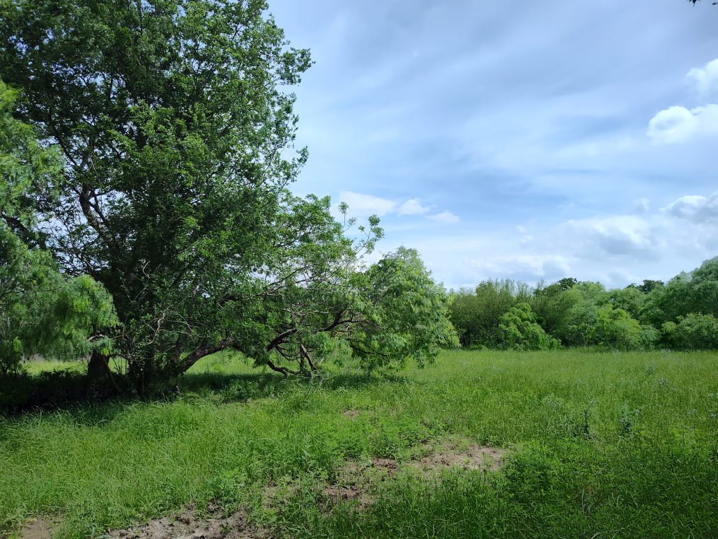 230 acres in Iola, TX