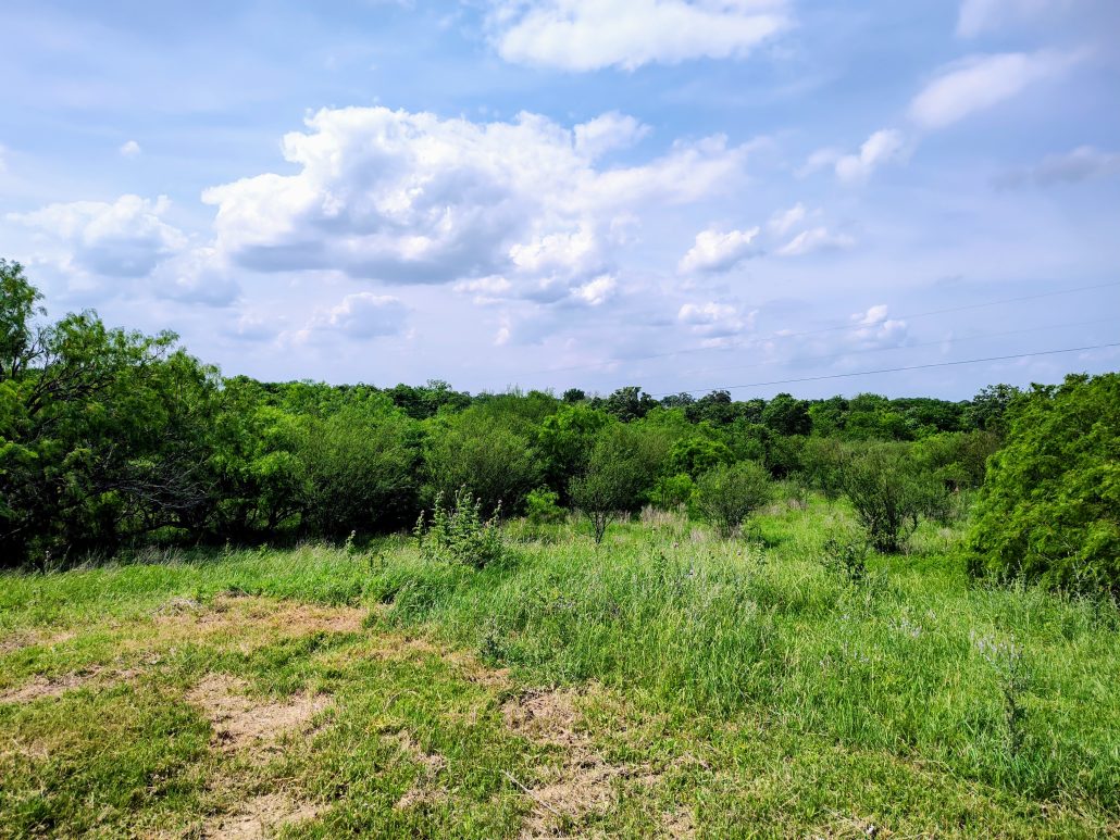 230 acres in Iola, TX