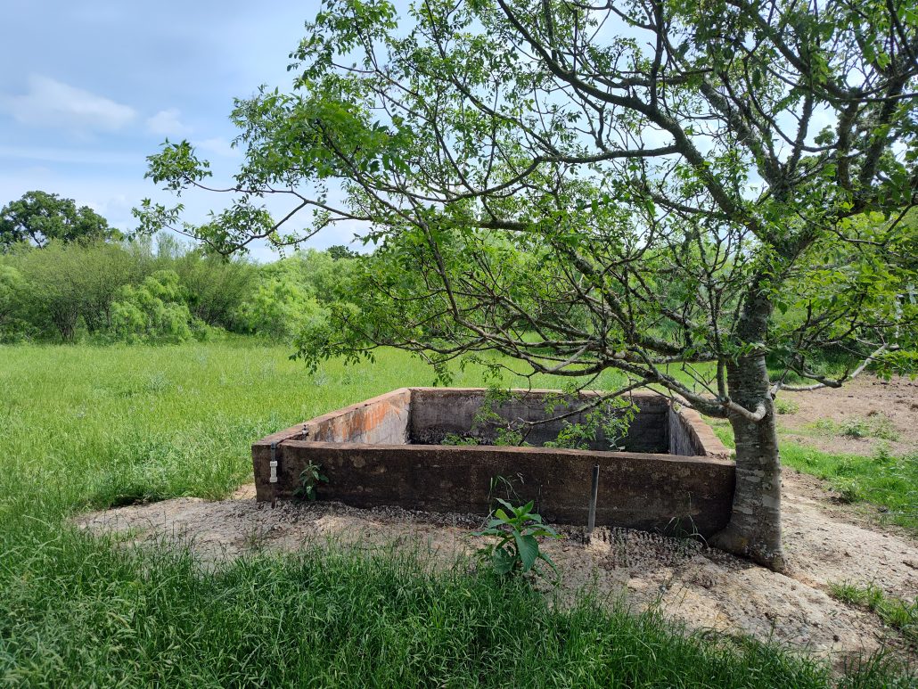 230 acres in Iola, TX